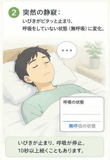 ②突然の静寂いびきがピタッと止まり、呼吸をしていない状態（無呼吸）に変化。